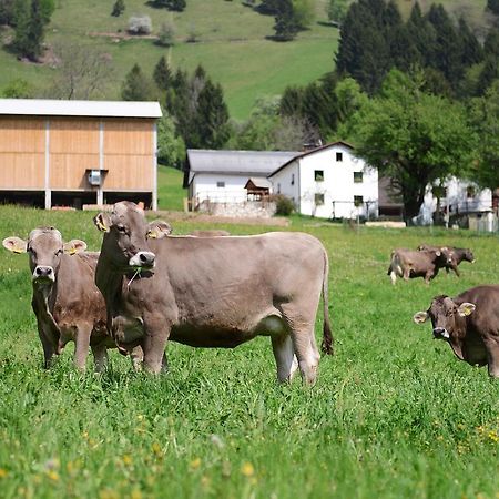 Ekoloska Turisticna Kmetija Pri Lovrcu Tolmin Zewnętrze zdjęcie